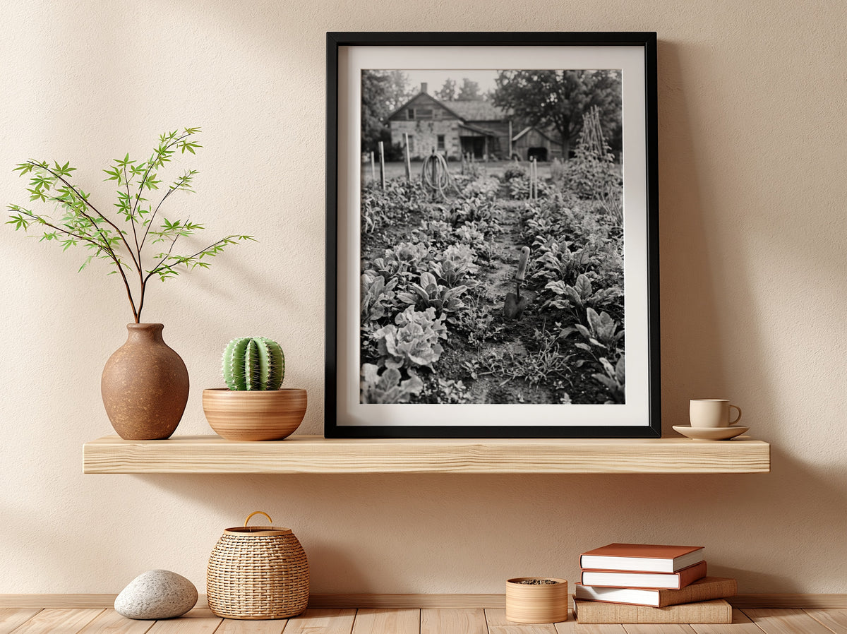Wall decor black and white photo of vegetables growing in farmhouse garden with rustic buildings