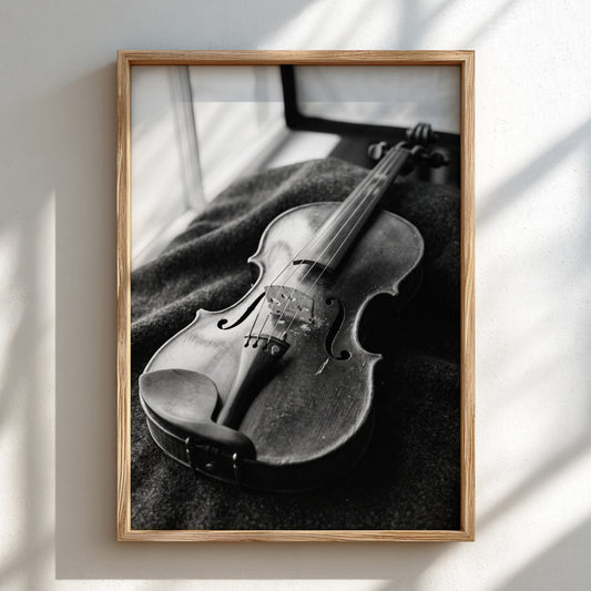 Vintage violin wall decor in monochrome resting on dark fabric with soft shadows and detailed wood texture