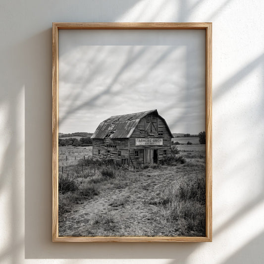 Weathered wooden barn poster in monochrome showing rustic barn in field with tall grass and cloudy sky