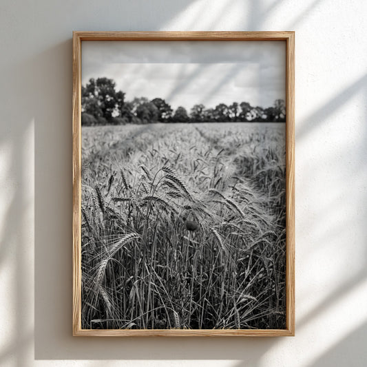 Black and white poster of wheat field with tall stalks swaying and trees in background
