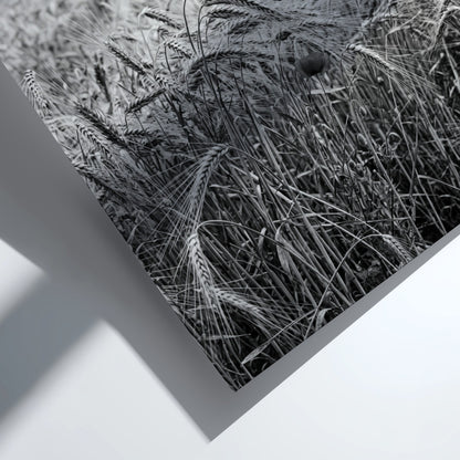 Black and white poster of wheat field with tall stalks swaying and trees in background