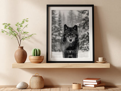 black and white wall decor featuring wolf staring into camera snowy forest background