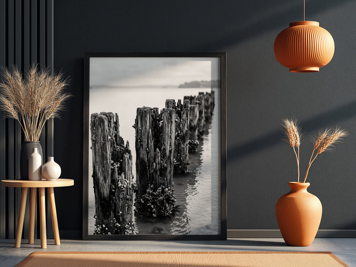 Black and white wall decor photograph of weathered wooden pier pilings in calm water with marine growth