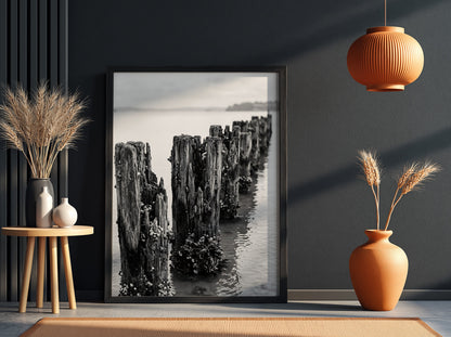 Black and white wall decor photograph of weathered wooden pier pilings in calm water with marine growth