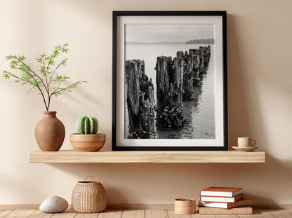 Black and white wall decor photograph of weathered wooden pier pilings in calm water with marine growth