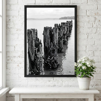 Black and white wall decor photograph of weathered wooden pier pilings in calm water with marine growth