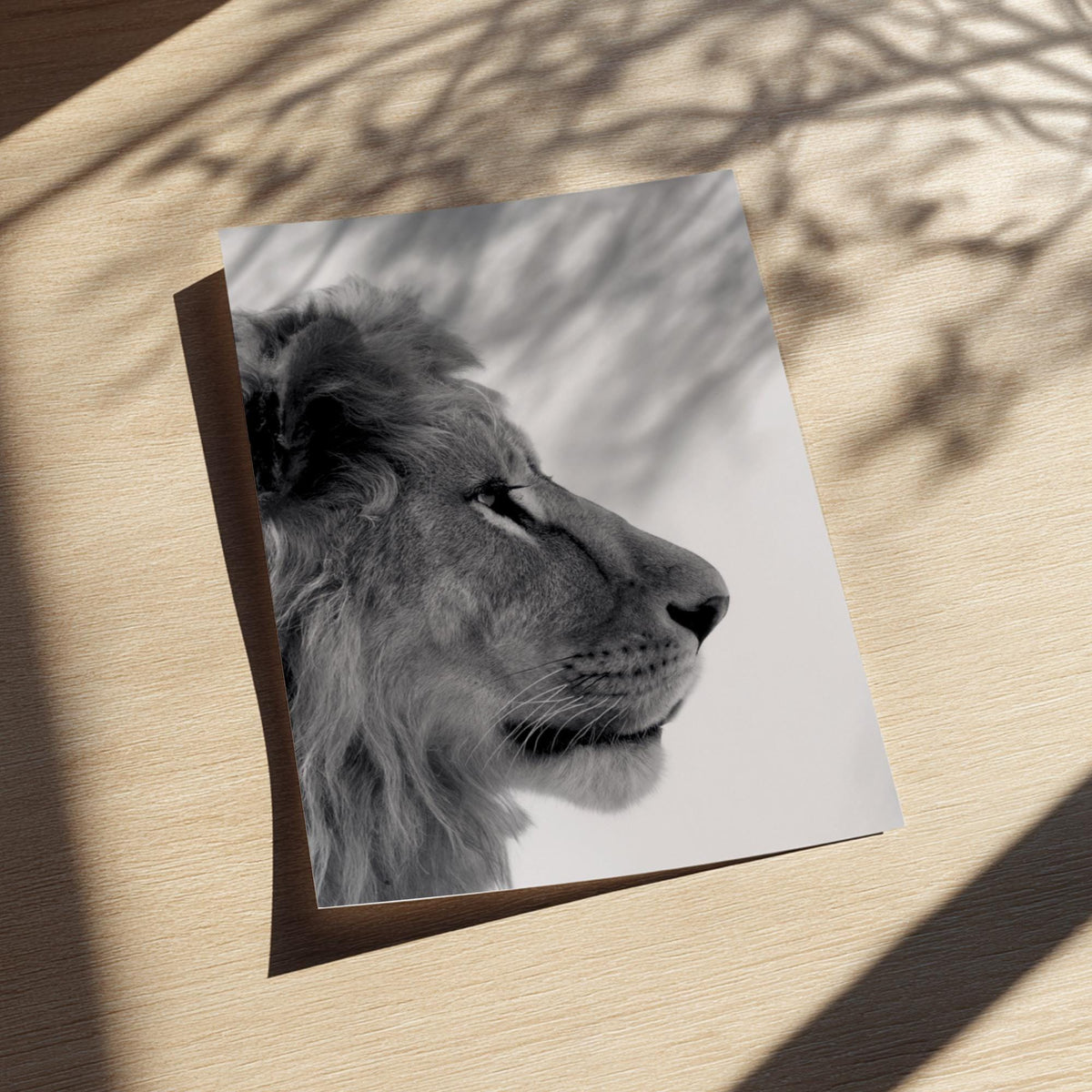Lion’s Gaze Black & White Minimalist Wildlife Wall Art | Modern Animal Portrait Decor | Powerful Safari Poster Print