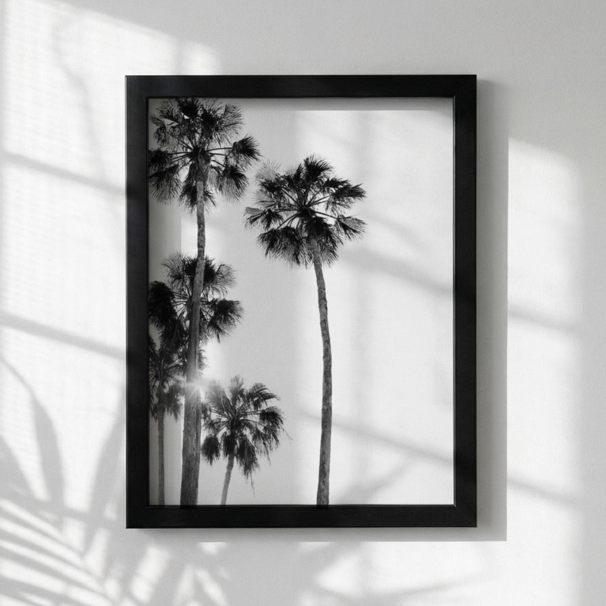 Sunlit Palms Black & White Minimalist Coastal Wall Art | Modern Tropical Decor | Aesthetic Nature Poster Print