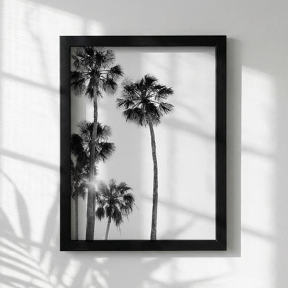 Sunlit Palms Black & White Minimalist Coastal Wall Art | Modern Tropical Decor | Aesthetic Nature Poster Print