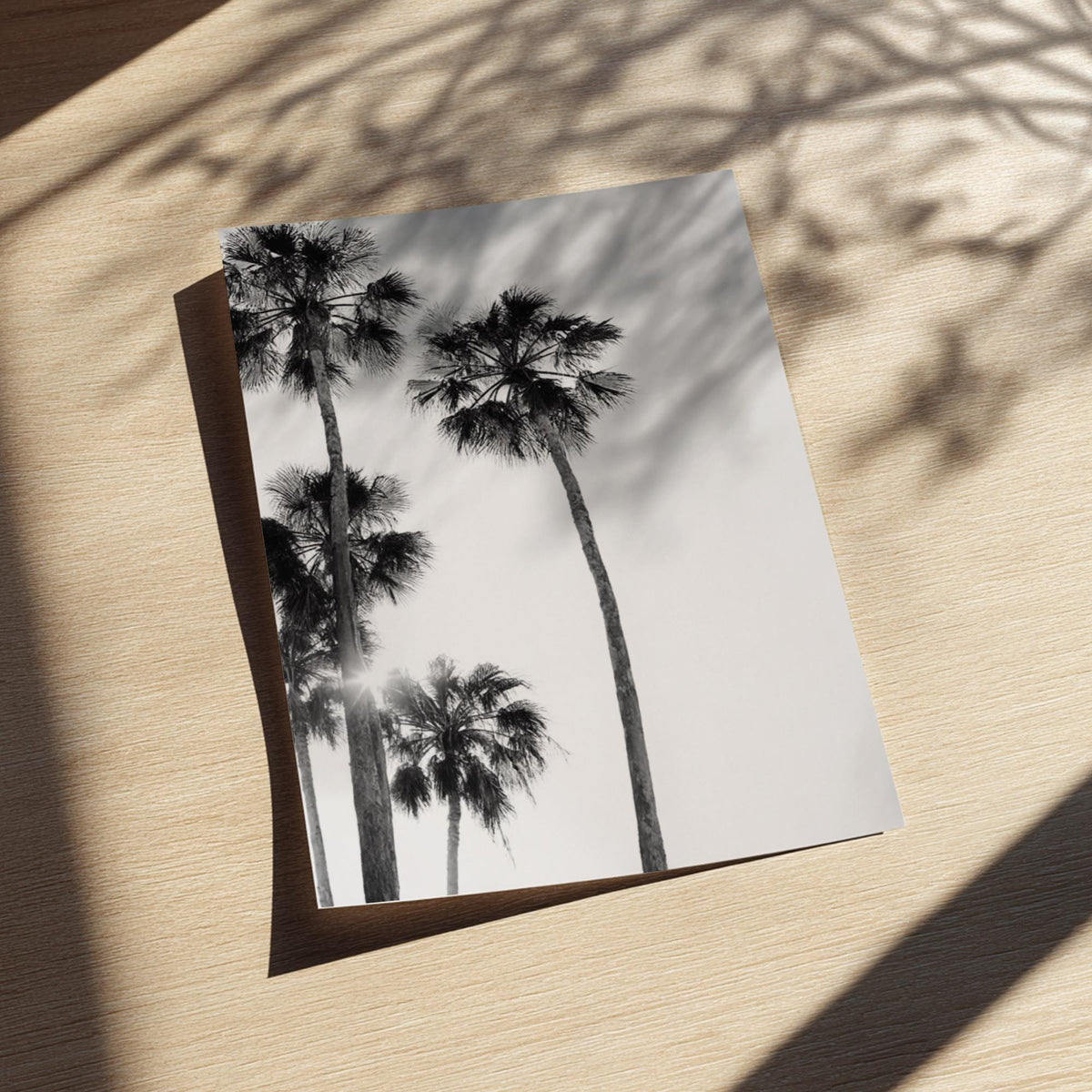 Sunlit Palms Black & White Minimalist Coastal Wall Art | Modern Tropical Decor | Aesthetic Nature Poster Print
