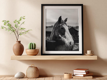 Piebald Horse Farm Portrait Poster | Black and White Photography Print | Vintage Farm Wall Art | Retro Western Animal Decor