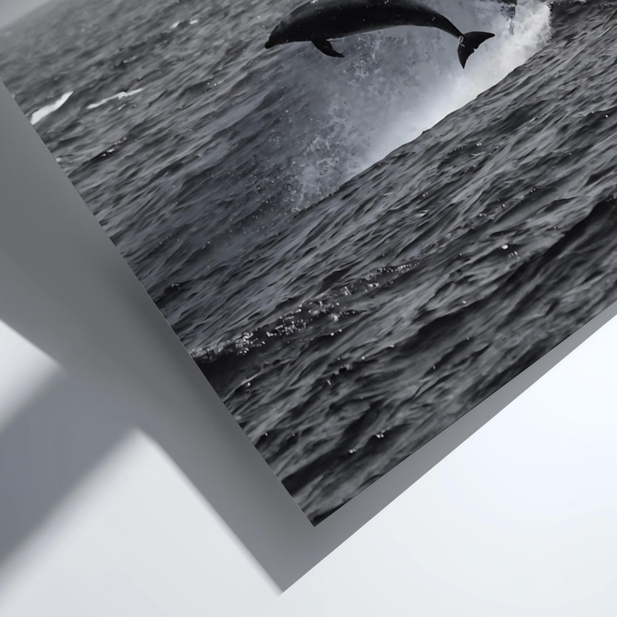 Dolphins Leaping Above Waves Poster | Black and White Photography Print | Vintage Ocean Wall Art | Retro Coastal Nature Decor