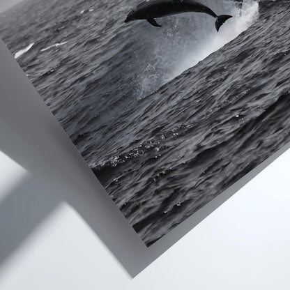Dolphins Leaping Above Waves Poster | Black and White Photography Print | Vintage Ocean Wall Art | Retro Coastal Nature Decor