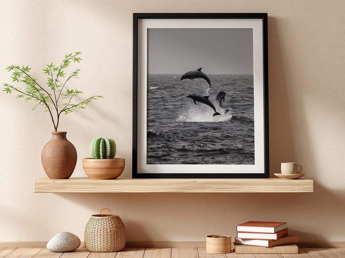 Dolphins Leaping Above Waves Poster | Black and White Photography Print | Vintage Ocean Wall Art | Retro Coastal Nature Decor