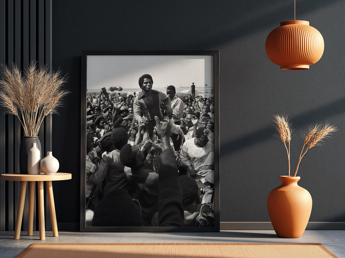 James Brown Crowd Nigeria 1974 Poster | Black and White Photography Print | Vintage Music Wall Art | Retro Concert Decor