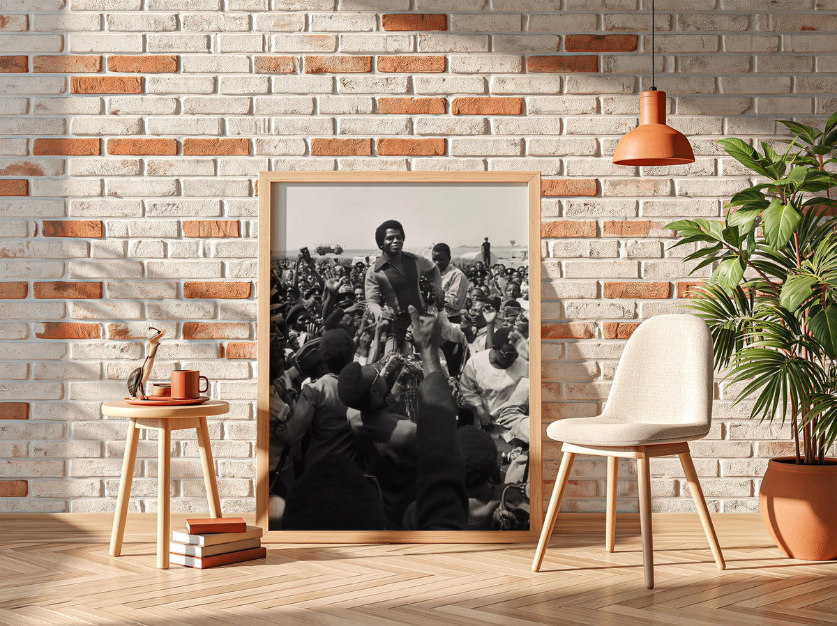 James Brown Crowd Nigeria 1974 Poster | Black and White Photography Print | Vintage Music Wall Art | Retro Concert Decor