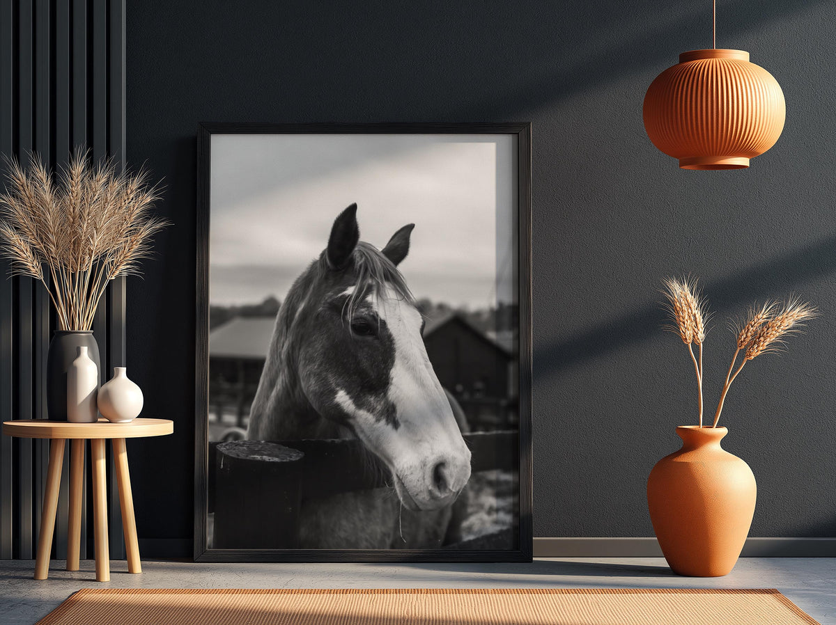 Piebald Horse Farm Portrait Poster | Black and White Photography Print | Vintage Farm Wall Art | Retro Western Animal Decor